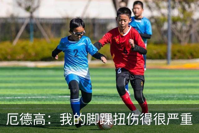 厄德高：我的脚踝扭伤得很严重